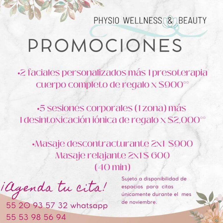 promociones wellness noviembre 2024